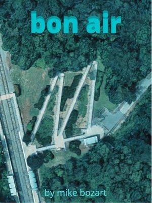 cover image of Bon Air